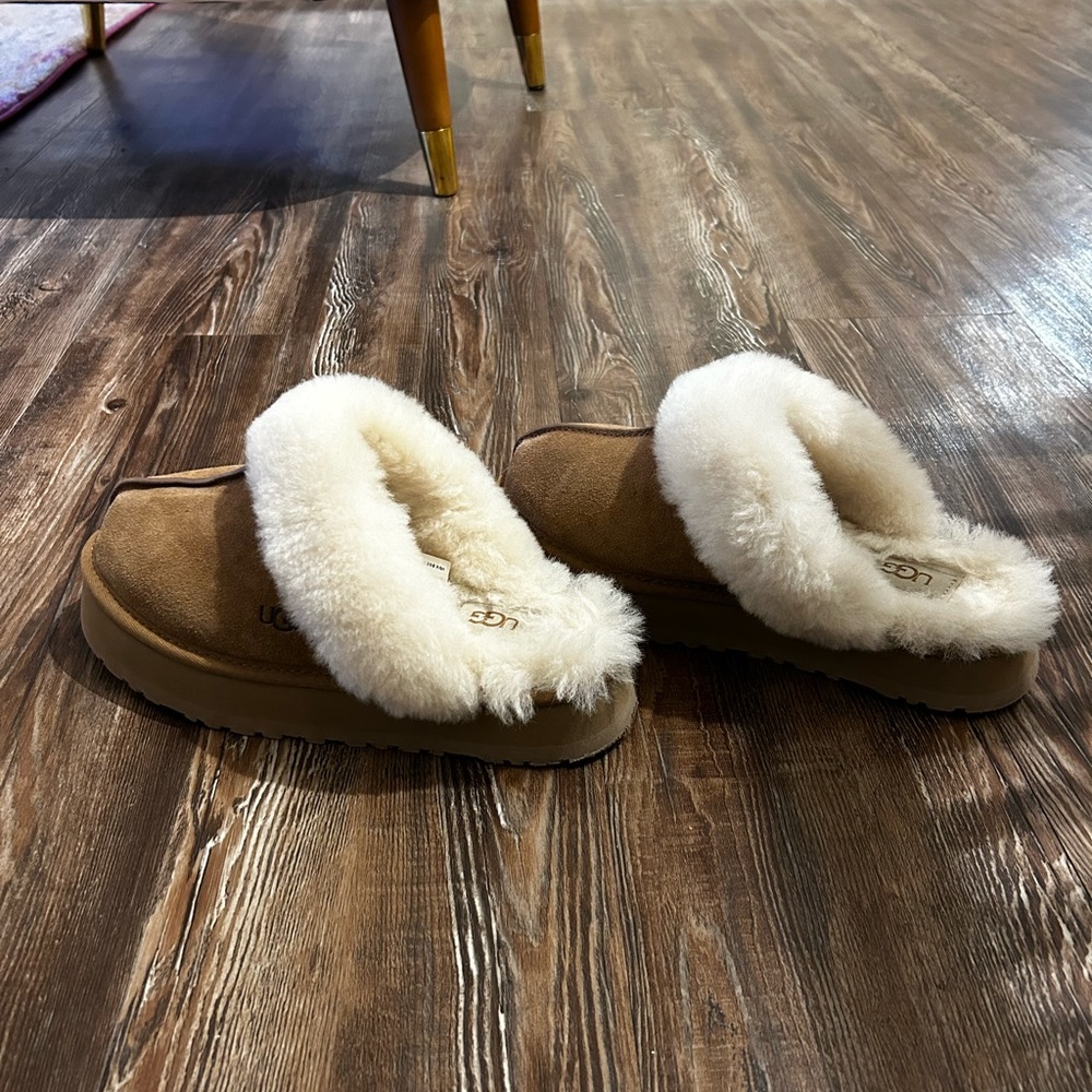 Disquette Uggs